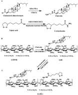 Graphical abstract: Low molecular weight heparin-based reduction-sensitive nanoparticles for antitumor and anti-metastasis of orthotopic breast cancer