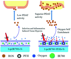 Graphical abstract: Construction of perfluorohexane/IR780@liposome coating on Ti for rapid bacteria killing under permeable near infrared light