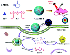 Graphical abstract: Facile synthesis of a metal–organic framework nanocarrier for NIR imaging-guided photothermal therapy