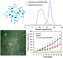 Graphical abstract: A biocompatible and cathepsin B sensitive nanoscale system of dendritic polyHPMA-gemcitabine prodrug enhances antitumor activity markedly