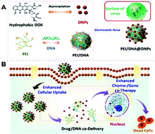 Graphical abstract: Carrier-free nanodrug-based virus-surface-mimicking nanosystems for efficient drug/gene co-delivery