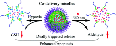 Graphical abstract: Hypoxia- and singlet oxygen-responsive chemo-photodynamic Micelles featured with glutathione depletion and aldehyde production