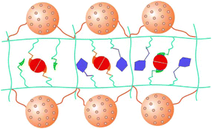 Graphical abstract: A polyhedral oligomeric silsesquioxane/molecular sieve codoped molecularly imprinted polymer for gastroretentive drug-controlled release in vivo