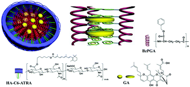 Graphical abstract: Improved druggability of gambogic acid using core–shell nanoparticles