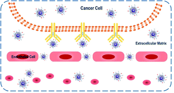 Graphical abstract: GE11-PDA-Pt@USPIOs nano-formulation for relief of tumor hypoxia and MRI/PAI-guided tumor radio-chemotherapy