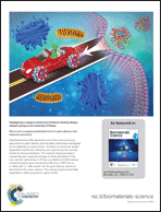 Graphical abstract: Back cover