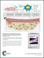 Graphical abstract: Inside back cover