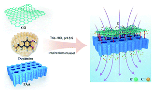 Graphical abstract: Mussel-inspired fabrication of porous anodic alumina nanochannels and a graphene oxide interfacial ionic rectification device