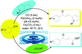Graphical abstract: A robust multifunctional ligand-controlled palladium-catalyzed carbonylation reaction in water