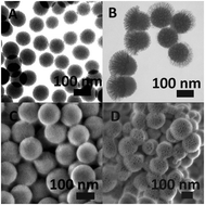 Graphical abstract: Asymmetric mesoporous silica nanoparticles as potent and safe immunoadjuvants provoke high immune responses