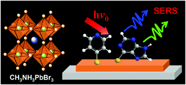 Graphical abstract: Surface-enhanced Raman scattering on organic–inorganic hybrid perovskites