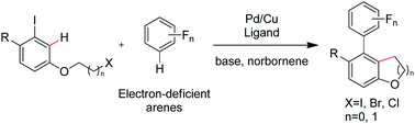 Graphical abstract: Synthesis of polyfluoroarene-substituted benzofuran derivatives via cooperative Pd/Cu catalysis