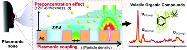 Graphical abstract: Plasmonic nose: integrating the MOF-enabled molecular preconcentration effect with a plasmonic array for recognition of molecular-level volatile organic compounds