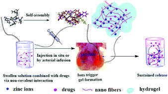 Graphical abstract: Zinc-ion-mediated self-assembly of forky peptides for prostate cancer-specific drug delivery