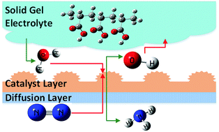 Graphical abstract: Electrochemical nitrogen reduction to ammonia under mild conditions enabled by a polymer gel electrolyte