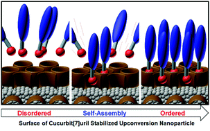 Graphical abstract: A supramolecular self-assembly strategy for upconversion nanoparticle bioconjugation