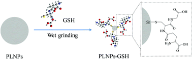 Graphical abstract: A simple approach for glutathione functionalized persistent luminescence nanoparticles as versatile platforms for multiple in vivo applications