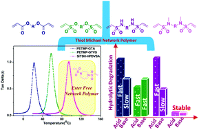 Graphical abstract: Multifunctional monomers based on vinyl sulfonates and vinyl sulfonamides for crosslinking thiol-Michael polymerizations: monomer reactivity and mechanical behavior