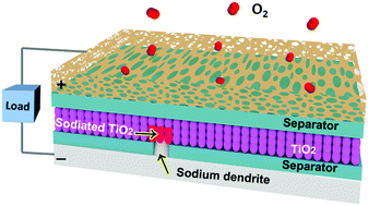 Graphical abstract: A titanium dioxide nanoparticle sandwiched separator for Na–O2 batteries with suppressed dendrites and extended cycle life