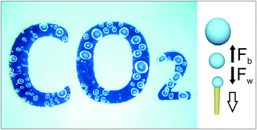 Graphical abstract: Carbon dioxide bubble-propelled microengines in carbonated water and beverages