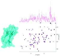 Graphical abstract: Interference of citrate-stabilized gold nanoparticles with β2-microglobulin oligomeric association