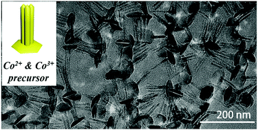 Graphical abstract: Unconventional morphologies of CoO nanocrystals via controlled oxidation of cobalt oleate precursors