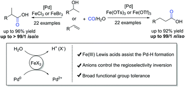 Graphical abstract: Regioselectivity inversion tuned by iron(iii) salts in palladium-catalyzed carbonylations