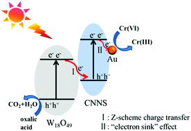 Graphical abstract: Integration of Au nanoparticles with a g-C3N4 based heterostructure: switching charge transfer from type-II to Z-scheme for enhanced visible light photocatalysis