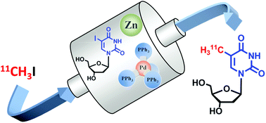 Graphical abstract: Negishi coupling reactions with [11C]CH3I: a versatile method for efficient 11C–C bond formation