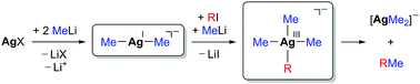 Graphical abstract: Argentate(i) and (iii) complexes as intermediates in silver-mediated cross-coupling reactions