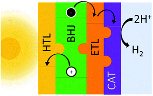 Graphical abstract: Rational design of a neutral pH functional and stable organic photocathode