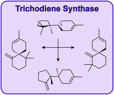 Graphical abstract: The absolute configuration of isochamigrene: new insights into the cyclisation mechanism of trichodiene synthase