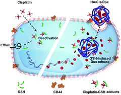 Graphical abstract: Redox-responsive cisplatin nanogels for anticancer drug delivery