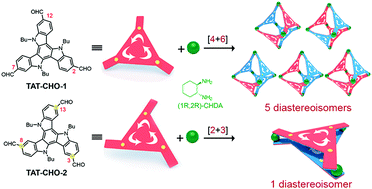 Graphical abstract: Chiral separation and characterization of triazatruxene-based face-rotating polyhedra: the role of non-covalent facial interactions