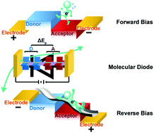 Graphical abstract: Control of the rectifying effect and direction by redox asymmetry in Rh2-based molecular diodes