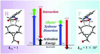 Graphical abstract: Origins of halogen effects in bioorthogonal sydnone cycloadditions