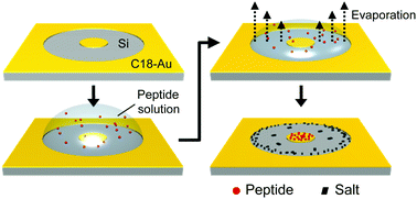 Graphical abstract: Concomitant desalting and concentration of neuropeptides on a donut-shaped surface pattern for MALDI mass spectrometry