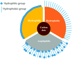 Graphical abstract: Dispersibility of carbon dots in aqueous and/or organic solvents