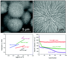 Graphical abstract: Dandelion-like Co3O4 mesoporous nanostructures supported by a Cu foam for efficient oxygen evolution and lithium storage