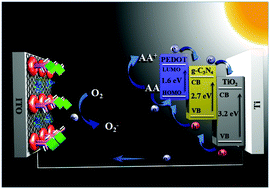 Graphical abstract: Separating photoanode from recognition events: toward a general strategy for a self-powered photoelectrochemical immunoassay with both high sensitivity and anti-interference capabilities