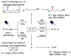 Graphical abstract: Visible-light-induced alkoxyl radical generation for inert chemical bond cleavage/functionalization