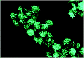 Graphical abstract: Synthesis and electrocatalytic properties for oxygen reduction of Pd4Fe nanoflowers