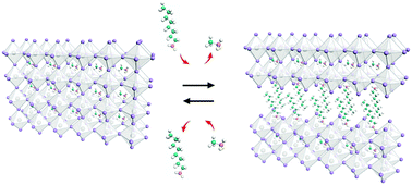 Graphical abstract: In situ identification of cation-exchange-induced reversible transformations of 3D and 2D perovskites