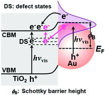 Graphical abstract: Defect state-induced efficient hot electron transfer in Au nanoparticles/reduced TiO2 mesocrystal photocatalysts
