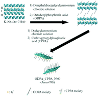 Graphical abstract: Inorganic Janus nanosheets bearing two types of covalently bound organophosphonate groups via regioselective surface modification of K4Nb6O17·3H2O