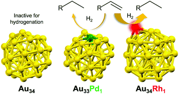 Graphical abstract: Prominent hydrogenation catalysis of a PVP-stabilized Au34 superatom provided by doping a single Rh atom