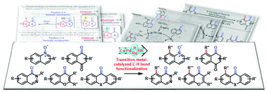 Graphical abstract: Weakly-coordinating N-oxide and carbonyl groups for metal-catalyzed C–H activation: the case of A-ring functionalization