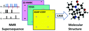 Graphical abstract: Molecular structure from a single NMR supersequence