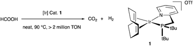 Graphical abstract: Iridium-based hydride transfer catalysts: from hydrogen storage to fine chemicals