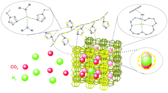 Graphical abstract: Carbonic anhydrase inspired poly(N-vinylimidazole)/zeolite Zn-β hybrid membranes for CO2 capture